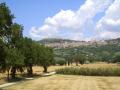 Vue de Assisi